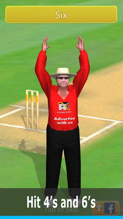 Smashing Cricket: cricket game screenshot-1