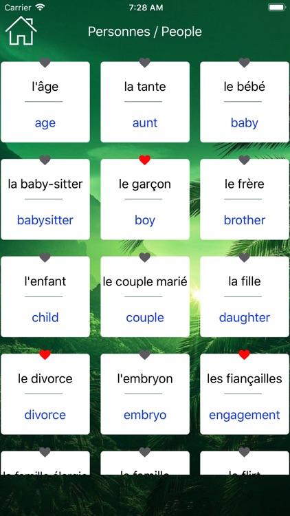 French Vocabulary & Phrase