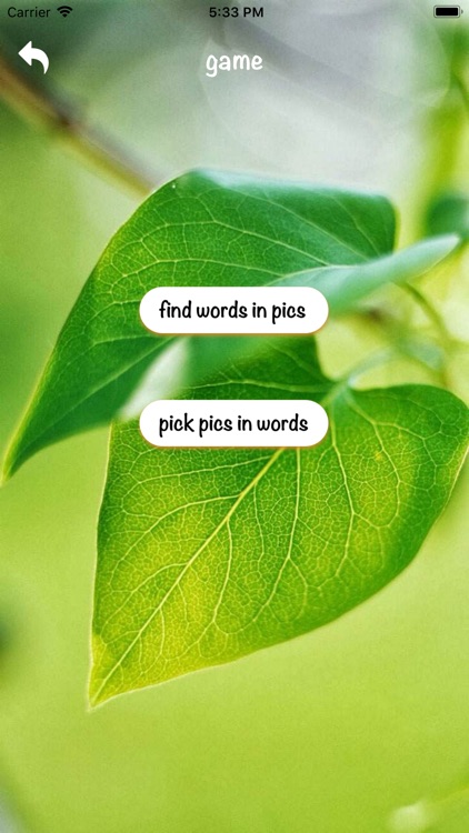 VPL--VegetablesPictureLearning