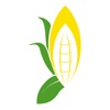 Corn Growers State Bank Mobile