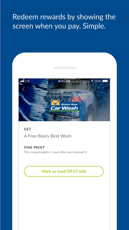 Brown Bear Car Wash