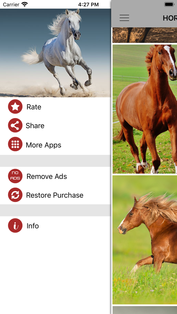 horse wallpapers backgrounds app for iphone free download horse wallpapers backgrounds for ipad iphone at apppure iphone app apkpure com