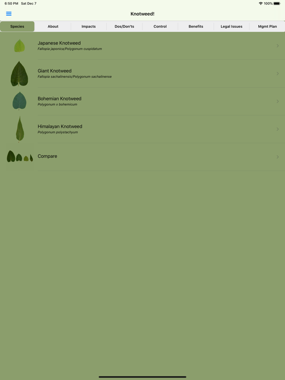 Screenshot #4 pour Knotweed!