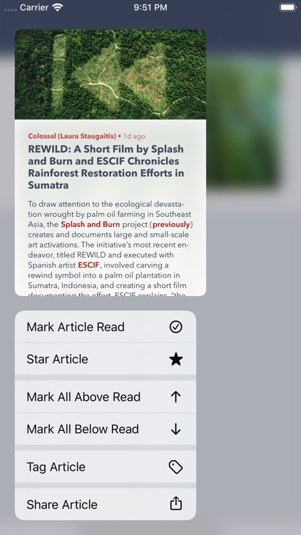 Fiery Feeds: RSS Reader screenshot-8