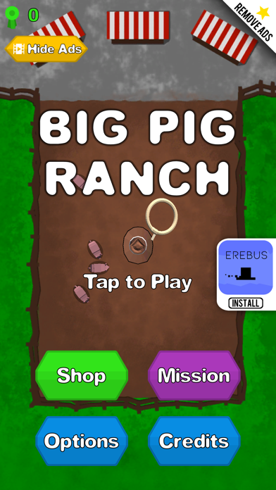 Big Pig Ranch screenshot 4