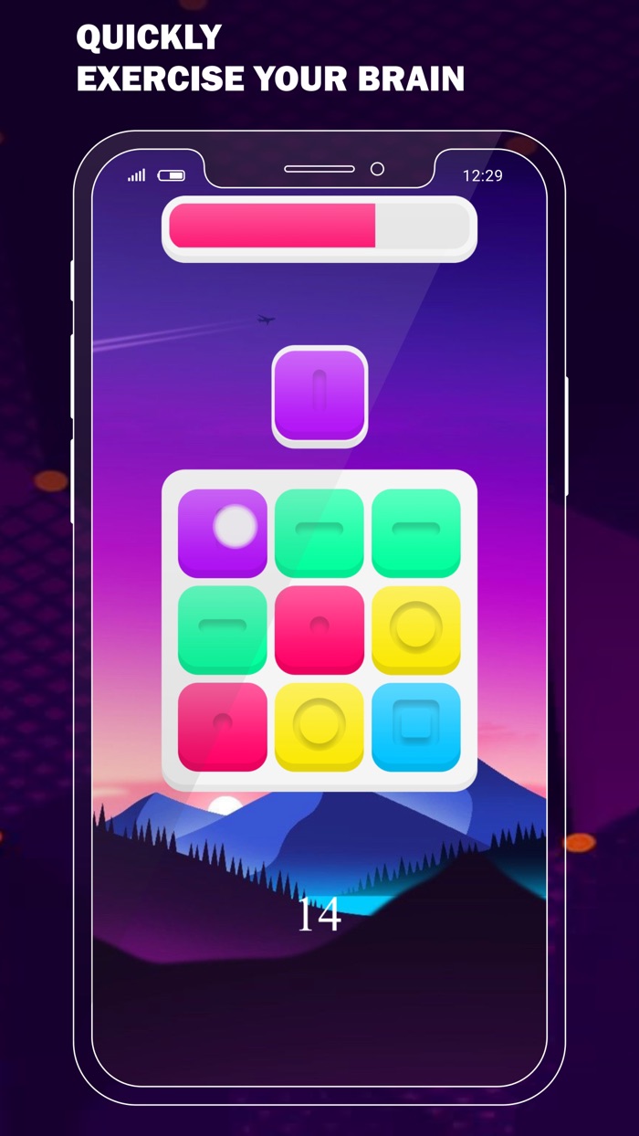 Blocky Blocks Pro