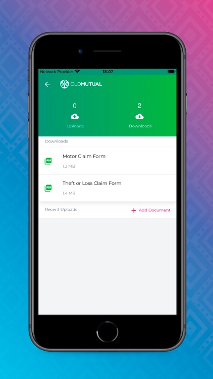 Old Mutual Insurance (Zim)