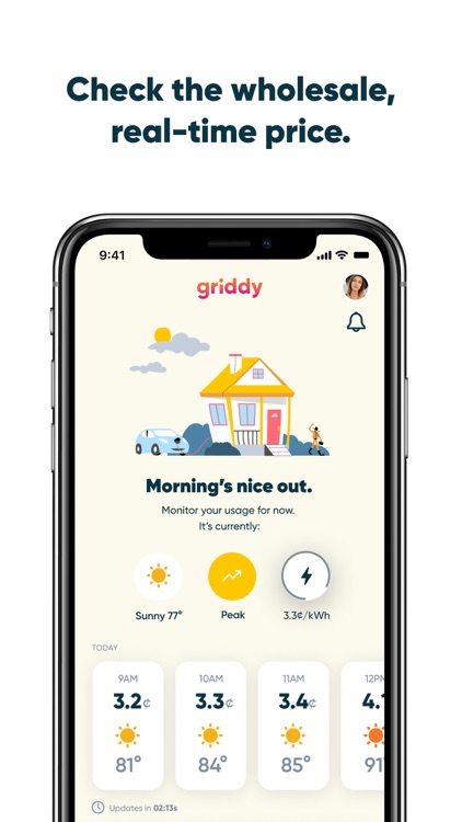 Griddy – Wholesale Electricity