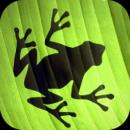 Jumping Frog Strategy