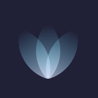 BreatheIn: Calm Breathing pour PC