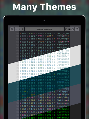 Hexer — Hex File Viewer - náhled