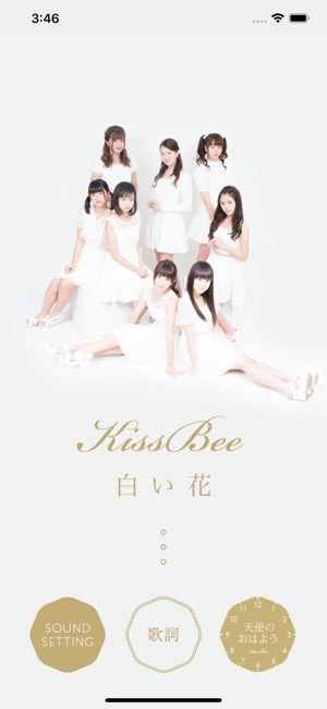 Kiss Bee 白い花