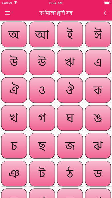 Bangla Learner AudioVisual App screenshot 4