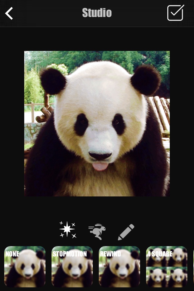 Gif Forge - Gif Cam & Editor screenshot 3