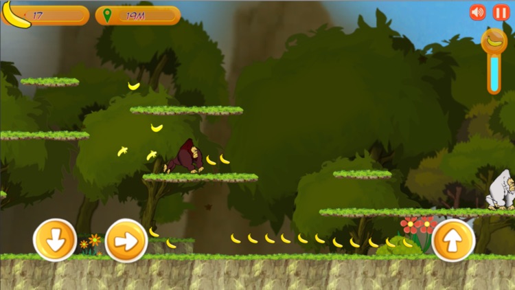 Monkey Kong Adventure