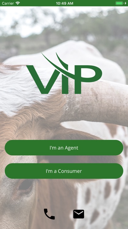 VIP Life Insurance Quotes