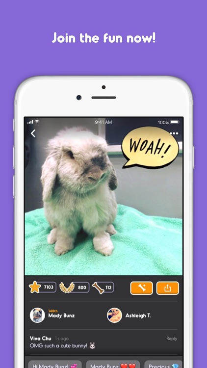 Pet Parade screenshot-4