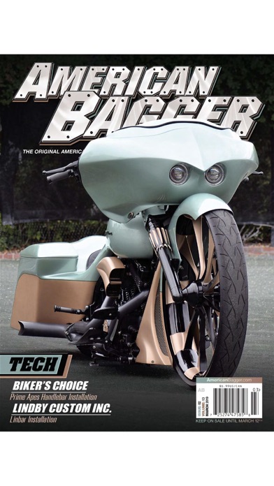 American Bagger screenshot1