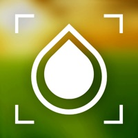 EZ 흐림 포커스 사진 효과 PC 용