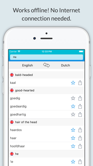 English Dutch Diction... screenshot1