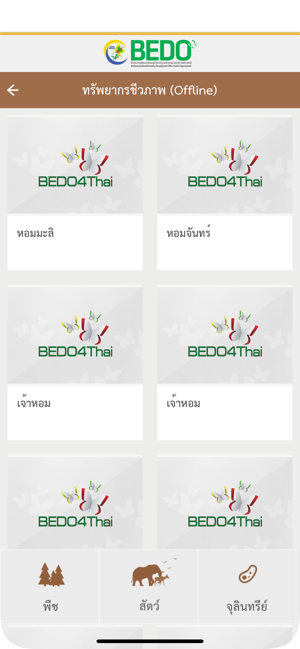 BEDO4Thai(圖4)-速報App