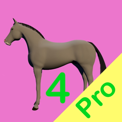 Modello 4Pro icon