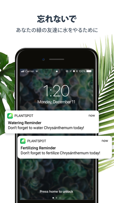 PlantSpot Plant Identificationのおすすめ画像4