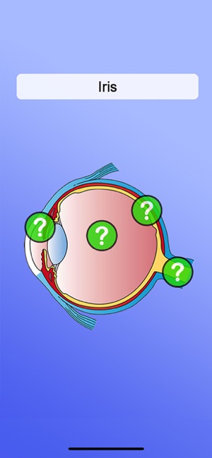 Anatomy Game(圖4)-速報App