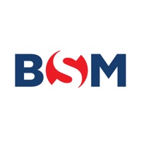BSM Seafarer Portal pour PC
