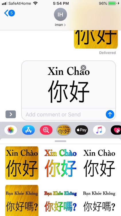 Chinese Vietnames