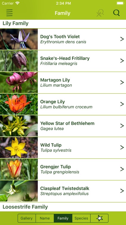 Wildflower Finder Switzerland screenshot-6