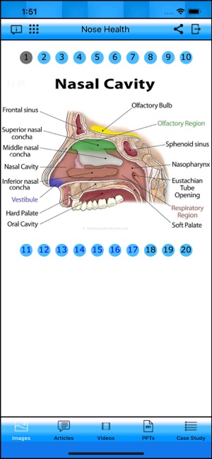 Nose Health(圖1)-速報App