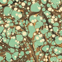 MATCHES: Luxury Fashion