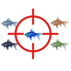 Activities of Target Fish Game