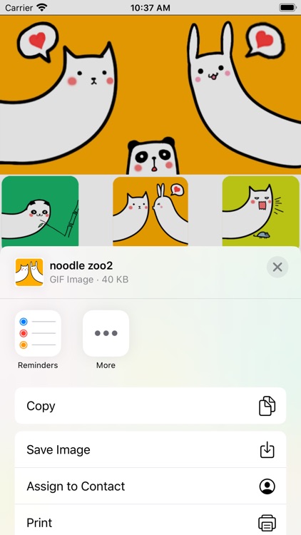 Noodle zoo