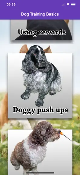 Game screenshot Basic Dog Training mod apk