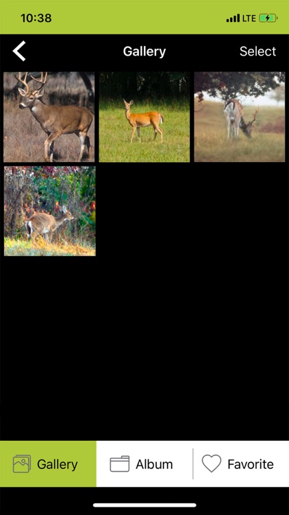 SME Spot Shot screenshot-4