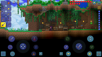 Terraria Screenshot 3