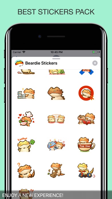 Beardie Chat Stickers screenshot 2