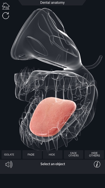 My Dental Anatomy screenshot-3