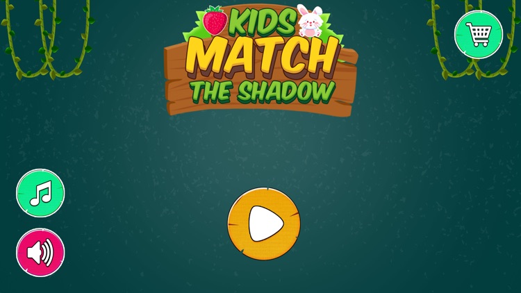 Kids Match the Shadow