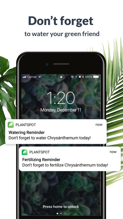 PlantSpot - Plant Identifier screenshot-3