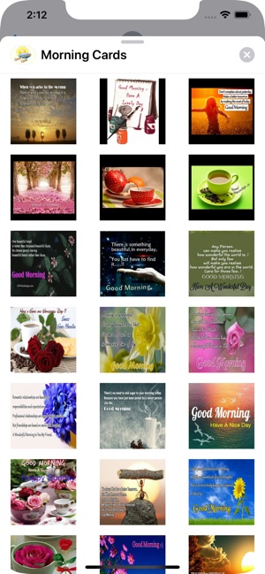 Morning Cards