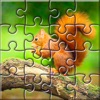 Photos Jigsaw Puzzle