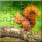 This game is the latest jigsaw puzzle game with different beautiful pictures