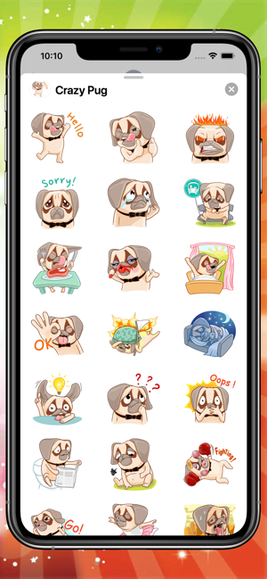 Crazy Pug(圖1)-速報App