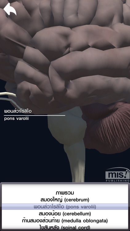 MIS Human Body AR Poster screenshot-3