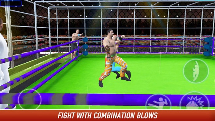 Wrestling Cage Fightings