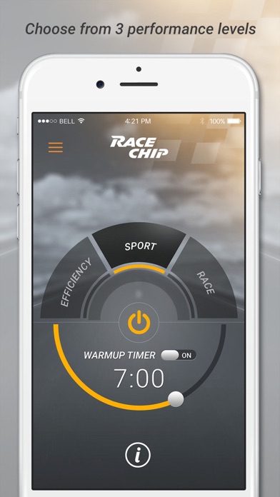 RaceChip screenshot 4