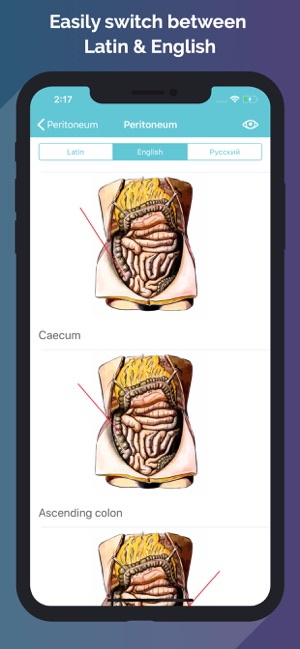 Easy Anatomy - Atlas & Quizzes(圖4)-速報App